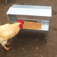 Large Turkey & Poultry Galvanised Feeder With Roof | Indoor Outdoors