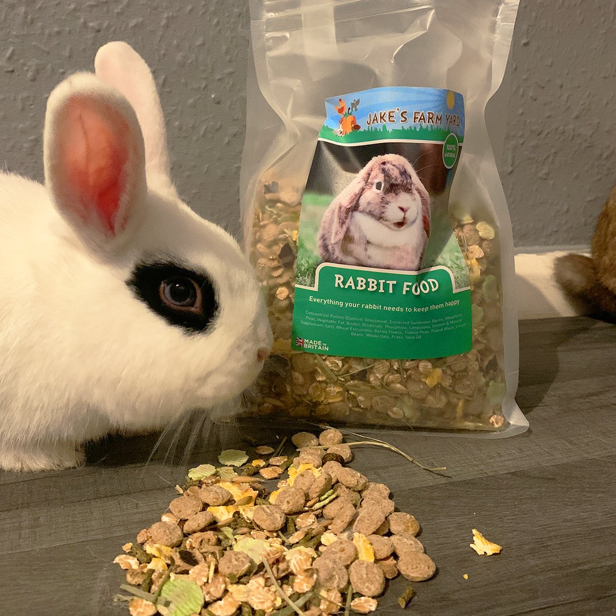 Jake's Farm Yard Pet Rabbit Starter Kit (3 Items Included)