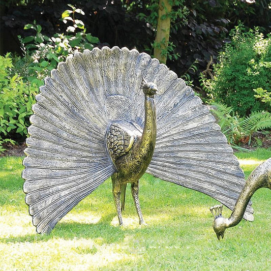 Fergus McArthur Peacock Bronze Effect Sculpture - Indoor Outdoors