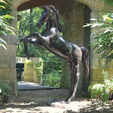 Fergus McArthur Rearing Foal Bronze Effect Sculpture - Indoor Outdoors