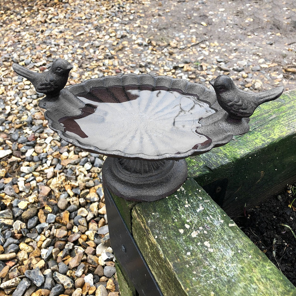 Rustic Cast Iron Bird Bath Indoor Outdoors Indoor Outdoors