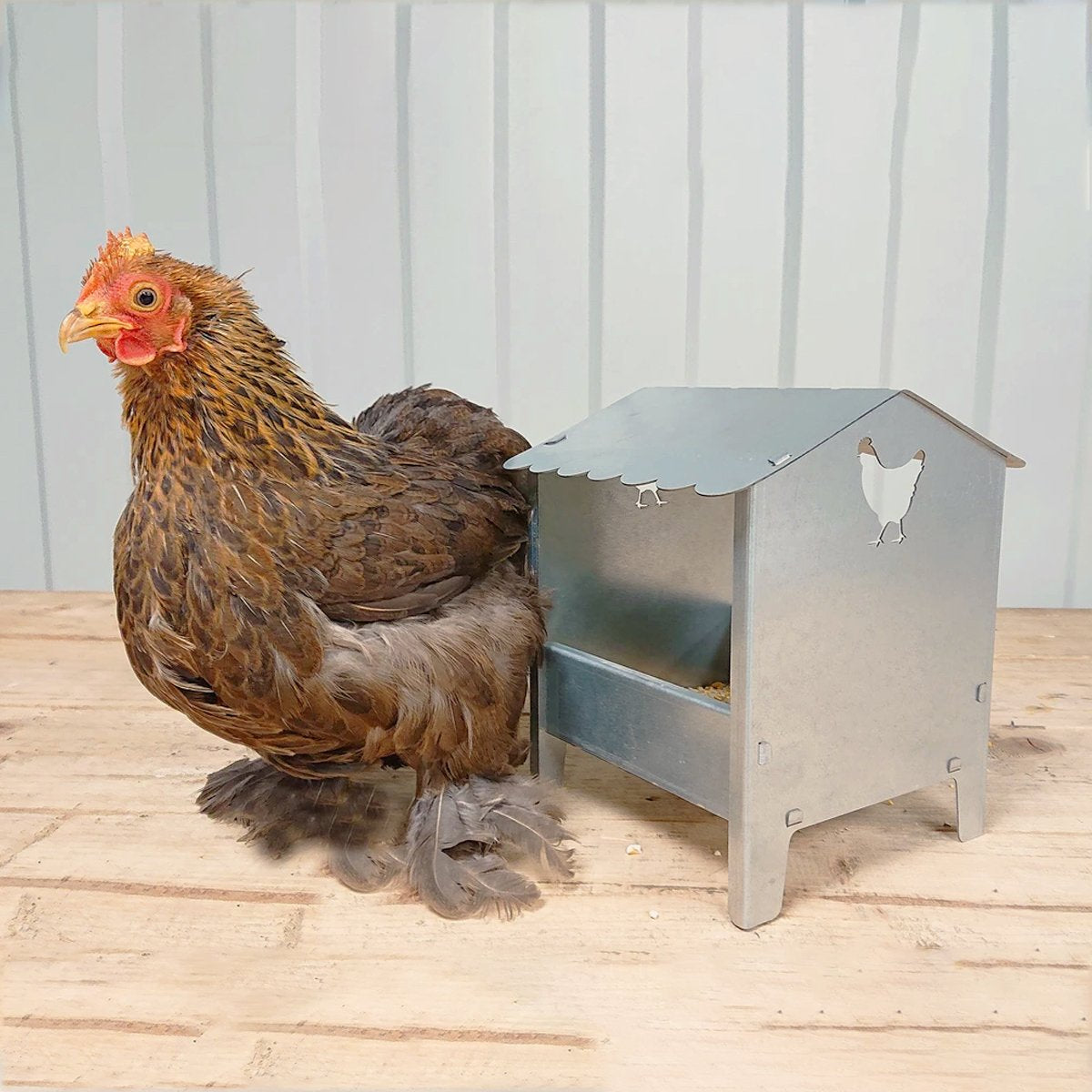 Small Chicken & Poultry Galvanised Feeder With Roof | Indoor Outdoors