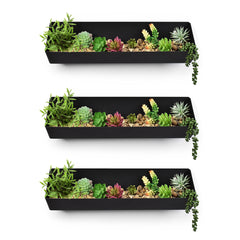 Bellamy Angled Wall Mount Planter - Indoor Outdoors