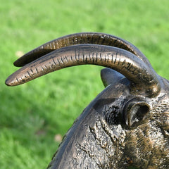Detailing on the horns with cracks and ridges.