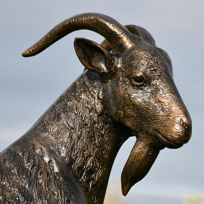 Closeup of Detailing on Billy Goat Face