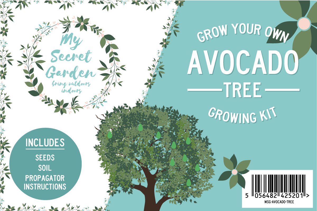 My Secret Garden Avocado Tree Growing Kit - Indoor Outdoors
