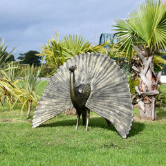 Fergus McArthur Peacock Bronze Effect Sculpture