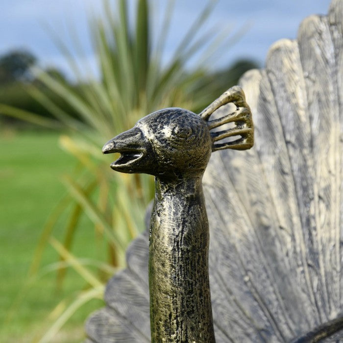 Fergus McArthur Peacock Bronze Effect Sculpture