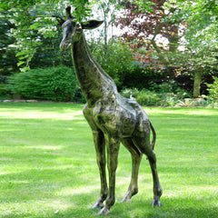 Bronze Giraffe Statue standing in a garden