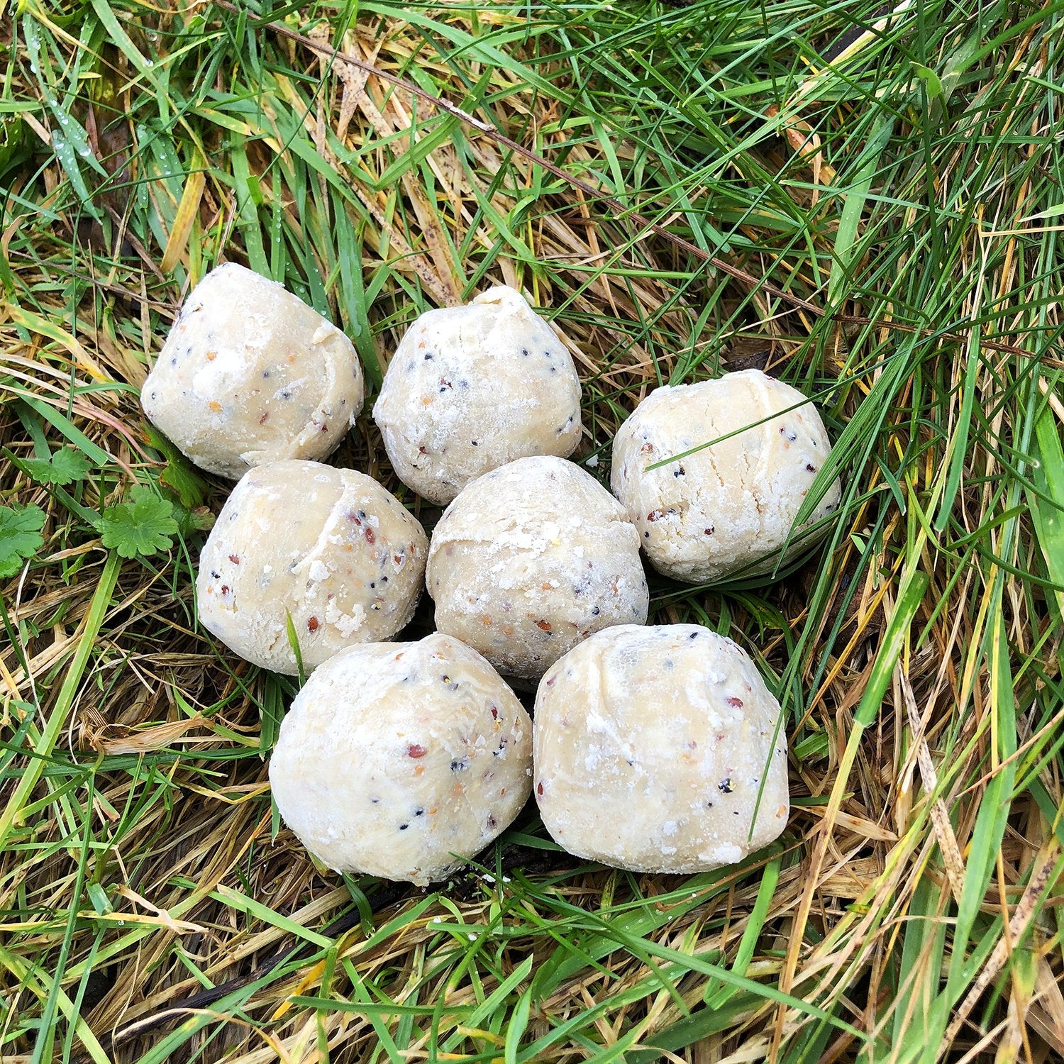 Jake's Farm Yard Wild Bird Suet Balls - Indoor Outdoors