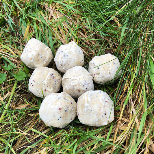Jake's Farm Yard Wild Bird Suet Balls | Indoor Outdoors