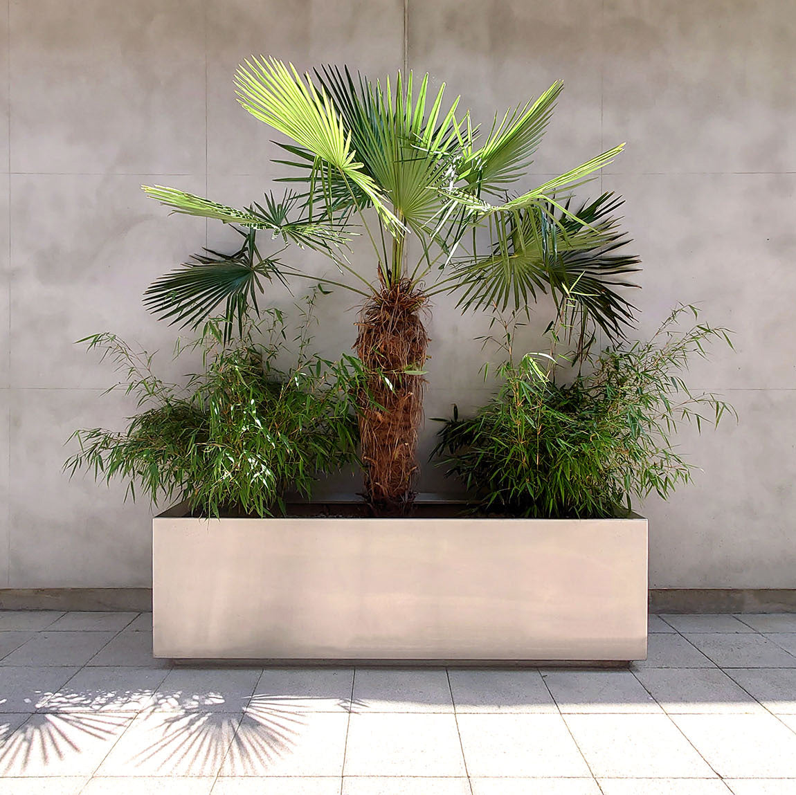 Bellamy Stainless Steel Planter Troughs from Indoor Outdoors