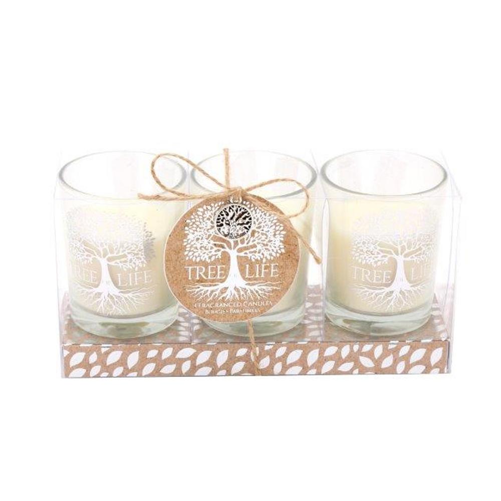 Tree of Life Candle Gift Set | Indoor Outdoors