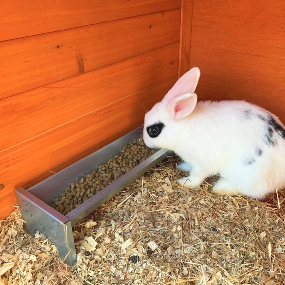 Rabbit Starter Kit from Jake's Farm Yard Indoor Outdoors