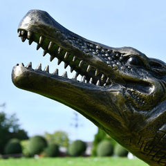 Closeup details of the Crocodile Sculpture's Face