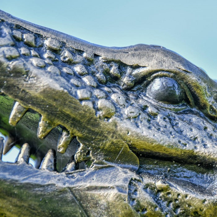 Closeup of Face Detailing for Bronze Crocodile Sculpture