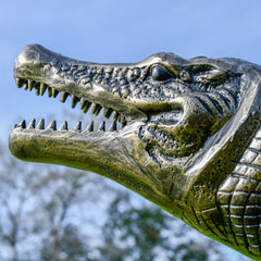 Side View of Crocodile