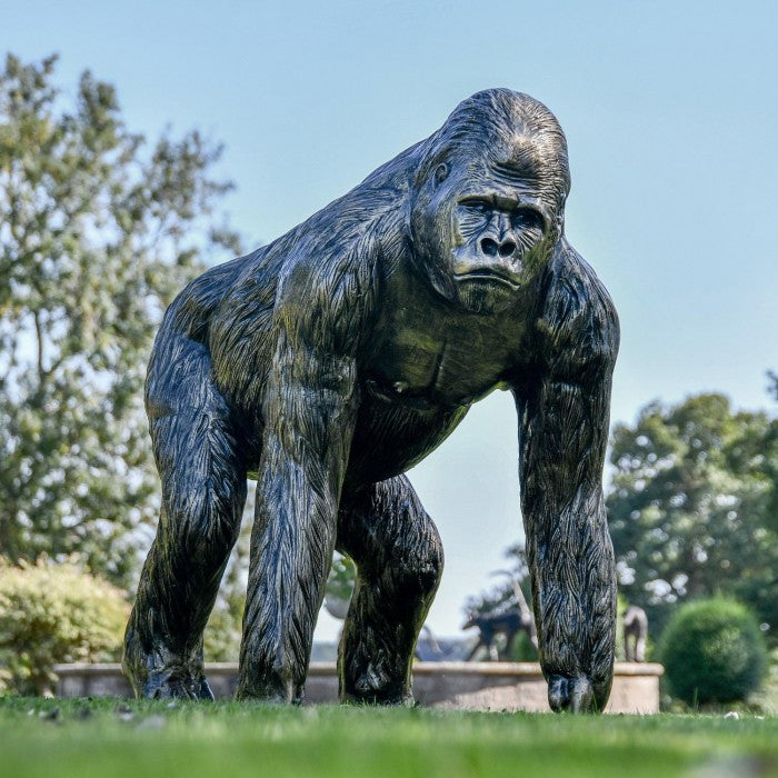 Bronze Effect Gorilla Statue situated in a stately home