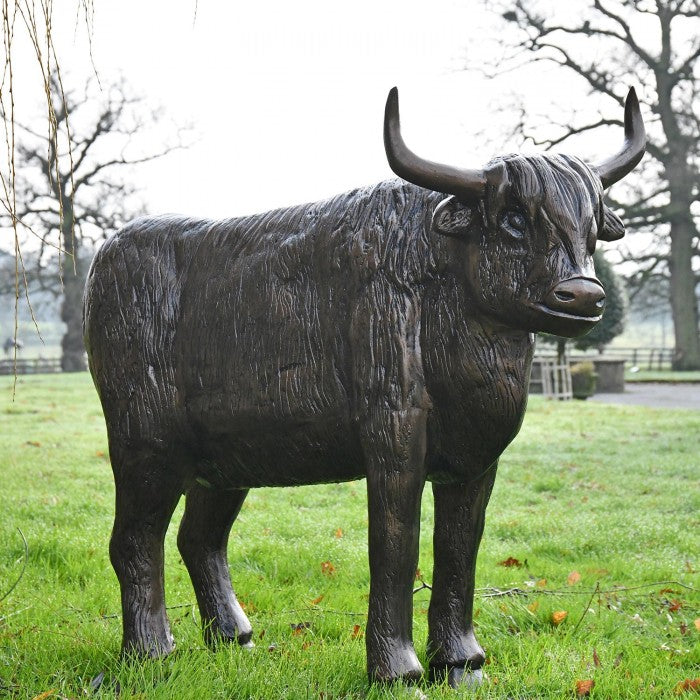 Fergus McArthur Highland Cow Bronze Effect Sculpture - Indoor Outdoors