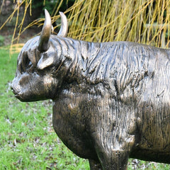 Fergus McArthur Highland Cow Bronze Effect Sculpture - Indoor Outdoors